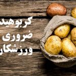کربوهیدرات ضروری برای ورزشکاران
