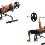 پرس بالا سینه هالتر Incline Bench Press