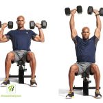 پرس شانه با دمبل Dumbbell Shoulder Press