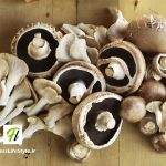 ارزش غذایی قارچ