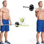 حرکت جلو بازو با هالتر دست بر عکس Reverse Barbell Curl
