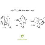 حرکات کششی برای پایین کمر، پهلو ها و بالای باسن (2)