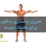 تمرین بدنسازی با کش برای عضلات سینه